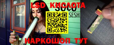 PSILOCYBIN Донской