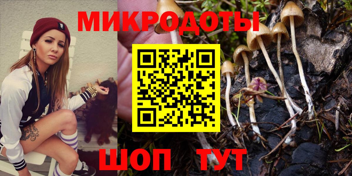 Кимры  Галлюциногенные грибы GOLDEN TEACHER  Вход с VPN  Галлюциногенные грибы Psilocybine cubensis 